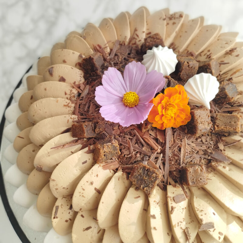Pavlova chocolat
